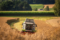 Zbi�r rzepaku 2025 OHZ w Osieku Sp. z o. o.